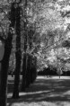 /album/fotogaleria/imgp9348-jpg/
